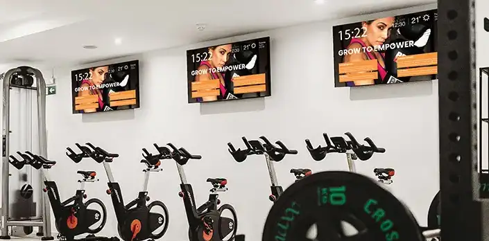 Gyms Fitness Centers