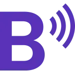 BrightSign Media Players icon