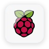 Raspberry Pi Players