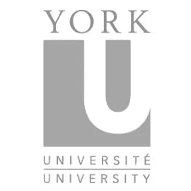 york university